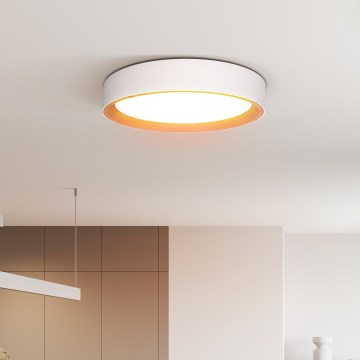 Plafón LED regulable LARIOS LED/48W/230V 3000-6500K diá. 39 cm blanco + control remoto