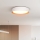 Plafón LED regulable LARIOS LED/48W/230V 3000-6500K diá. 39 cm blanco + control remoto
