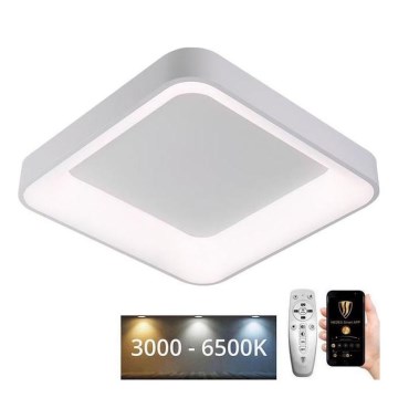 Plafón LED regulable LED/45W/230V 3000-6500K blanco + control remoto