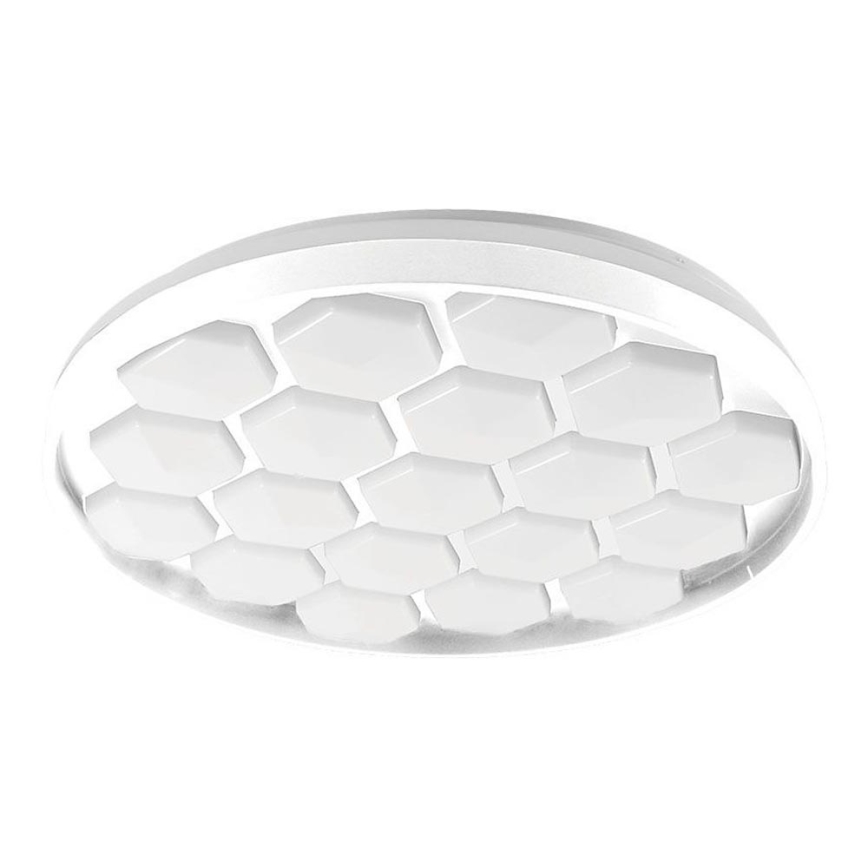 Plafón LED regulable LED/60W/230V 3000/4000/6500K + control remoto