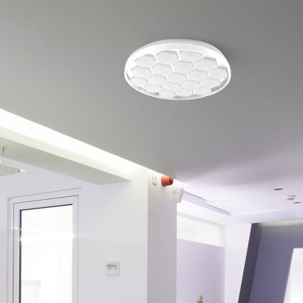 Plafón LED regulable LED/60W/230V 3000/4000/6500K + control remoto