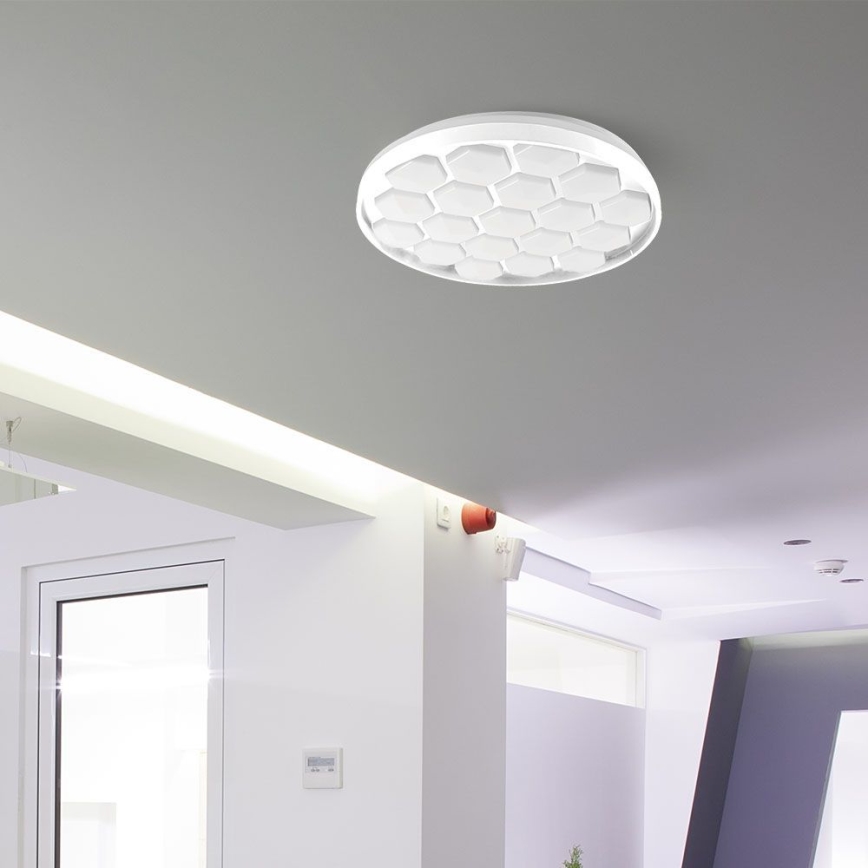 Plafón LED regulable LED/60W/230V 3000/4000/6500K + control remoto