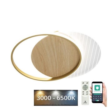 Plafón LED regulable LED/60W/230V 3000-6500K + control remoto