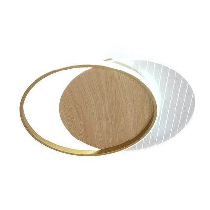 Plafón LED regulable LED/60W/230V 3000-6500K + control remoto