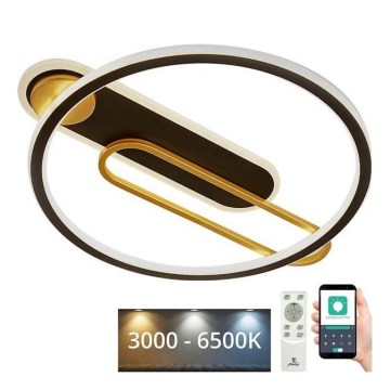 Plafón LED regulable LED/60W/230V 3000-6500K negro + control remoto