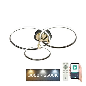 Plafón LED regulable LED/64W/230V 3000-6500K + control remoto