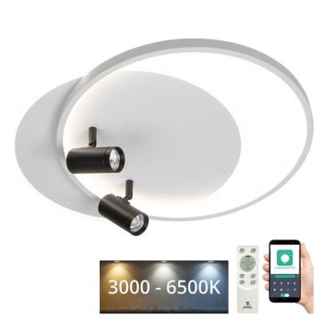 Plafón LED regulable LED/65W/230V 3000-6500K blanco + control remoto