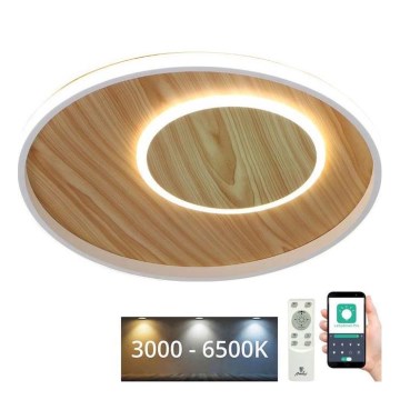 Plafón LED regulable LED/65W/230V 3000-6500K marrón + control remoto