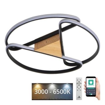 Plafón LED regulable LED/75W/230V 3000-6500K marrón/negro + control remoto