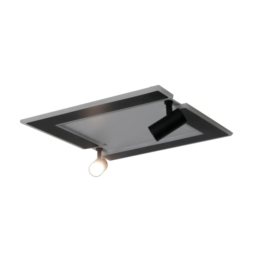 Plafón LED regulable LED/80W/230V 3000-6500K negro + control remoto