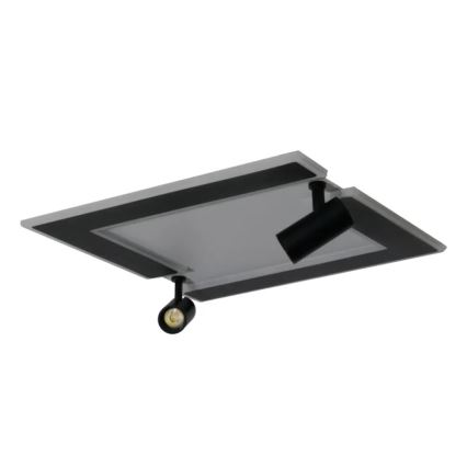 Plafón LED regulable LED/80W/230V 3000-6500K negro + control remoto