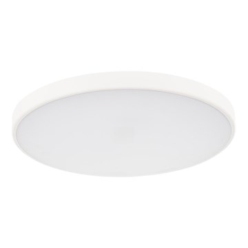 Plafón LED regulable PLAFON LED/20W/230V 3000-6500K Wi-Fi blanco