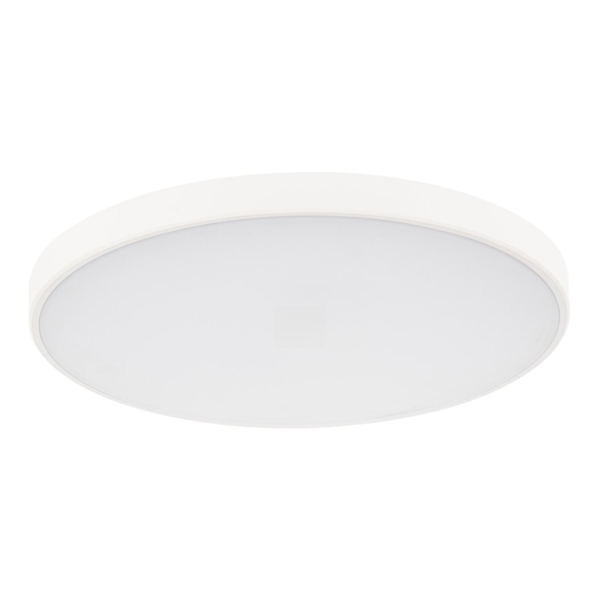 Plafón LED regulable PLAFON LED/20W/230V 3000-6500K Wi-Fi blanco
