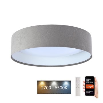 Plafón LED regulable SMART GALAXY LED/24W/230V 45 cm 2700-6500K Wi-Fi Tuya gris/blanco + mando a distancia