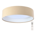 Plafón LED regulable SMART GALAXY LED/24W/230V beige/blanco 3000-6500K + CR