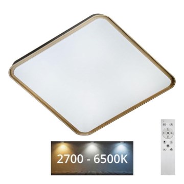 Plafón LED regulable UNA LED/60W/230V 2700-6500K 50x50 cm + control remoto
