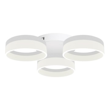 Plafón LED RING 3xLED/12W/230V blanco