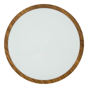 Plafón LED RING LED/24W/230V 4200K diá. 28,5 cm marrón