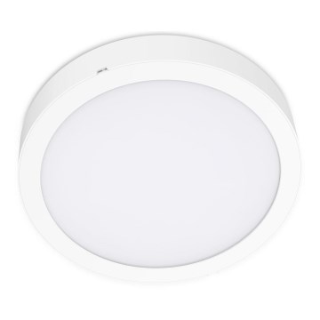 Plafón LED SIGARO CIRCLE LED/18W/230V 4000K IP40