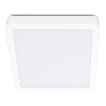 Plafón LED SIGARO SQUARE LED/18W/230V 4000K IP40