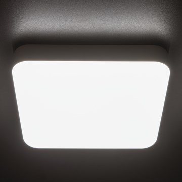 Plafón LED técnico con sensor de movimiento IPER LED/19W/230V IK10 IP65 cuadrado blanco