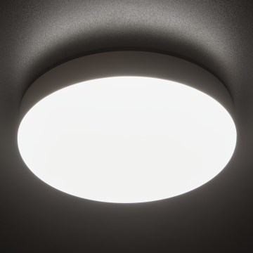 Plafón LED técnico IPER LED/19W/230V IK10 IP65 redondeado blanco