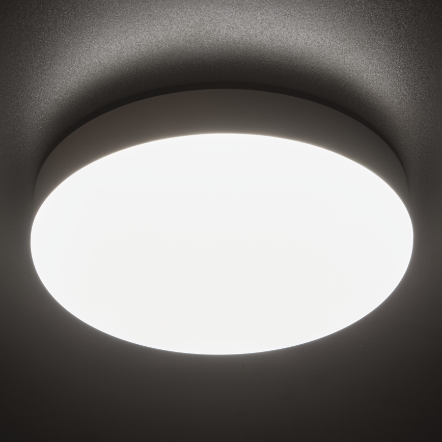 Plafón LED técnico IPER LED/19W/230V IK10 IP65 redondeado blanco
