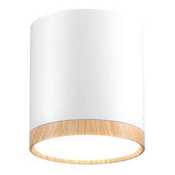 Plafón LED TUBA LED/5W/230V blanco/beige