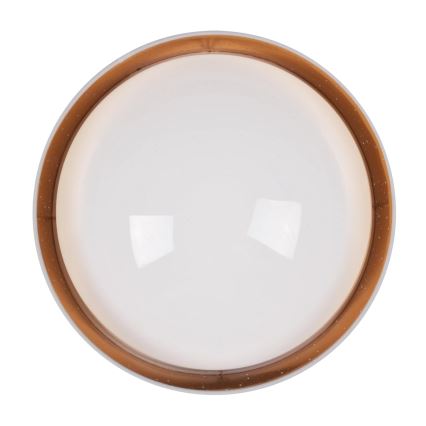Plafón LED TULUZA LED/24W/230V diá. 40 cm blanco