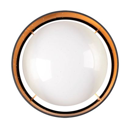 Plafón LED TULUZA LED/24W/230V diá. 40 cm negro