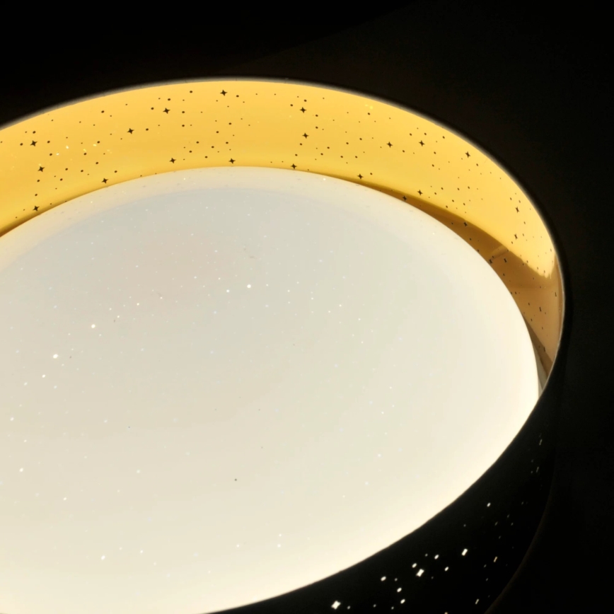 Plafón LED TULUZA LED/24W/230V diá. 40 cm negro