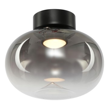Plafón LED VASO LED/4W/230V diá. 18 cm ahumado