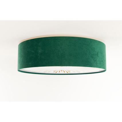 Plafón RAYS 2xE27/60W/230V d. 60cm verde