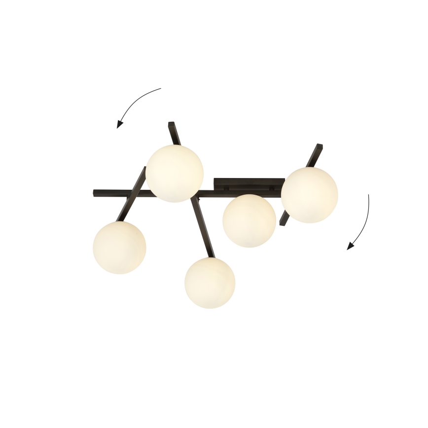 Plafón SMART 5xE14/10W/230V negro/blanco