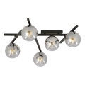 Plafón SMART 5xE14/10W/230V negro/gris