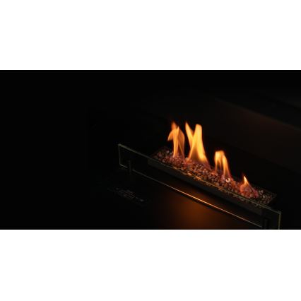 Planika - Chimenea BIO universal empotrada con control remoto 56,2x75 cm 2,5kW/230V