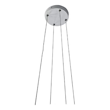 Prezent 70333 - Cable de alimentación con 4 hilos TRIMO 15x100 cm blanco