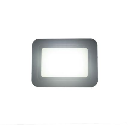 Proyector LED 30W/230V 4000K IP65