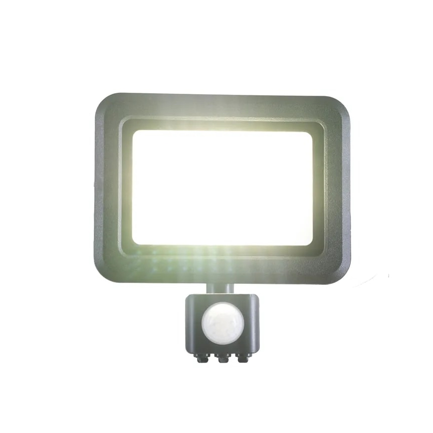 Proyector LED con sensor LED/30W/230V 4000K IP44