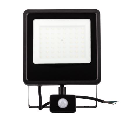 Proyector LED de exterior con sensor LED/30W/230V 4000K IP65 negro