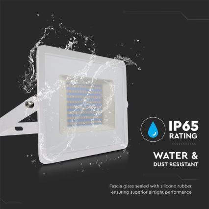 Proyector LED LED/100W/230V 6500K IP65 blanco
