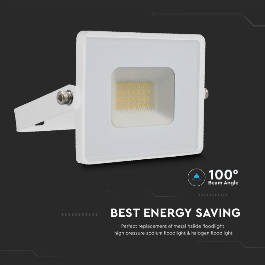 Proyector LED LED/20W/230V 6500K IP65 blanco