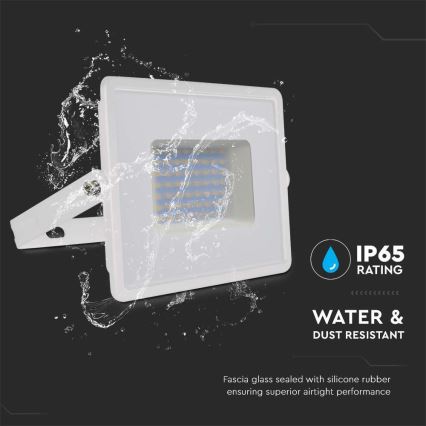 Proyector LED LED/50W/230V 6500K IP65 blanco