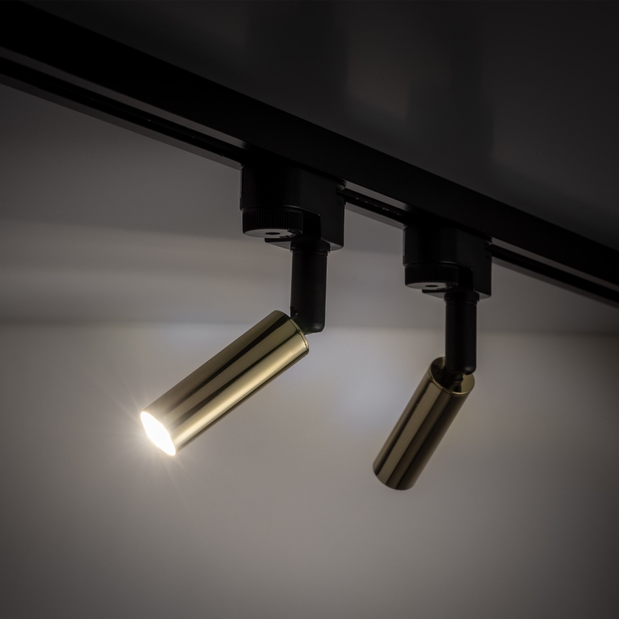 Foco LED para sistema de raíles monofásico LAGOS 1xG9/3W/230V dorado/negro