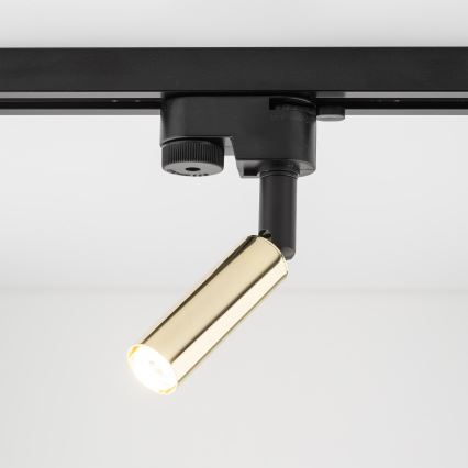 Foco LED para sistema de raíles monofásico LAGOS 1xG9/3W/230V dorado/negro