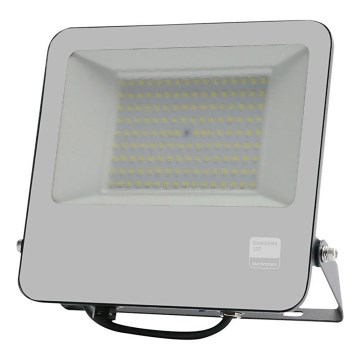 Proyector LED SAMSUNG CHIP LED/100W/230V 6400K IP65 negro