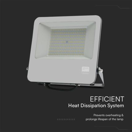 Proyector LED SAMSUNG CHIP LED/100W/230V 6400K IP65 negro