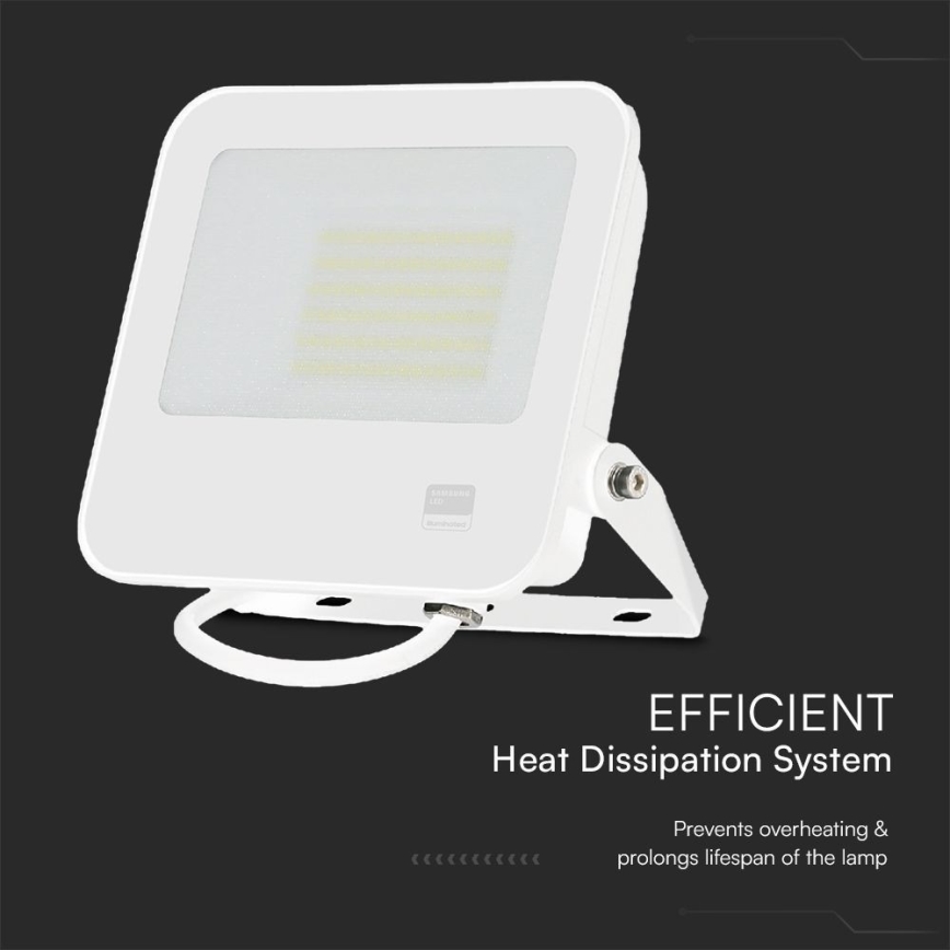 Proyector LED SAMSUNG CHIP LED/50W/230V 6500K IP65 blanco