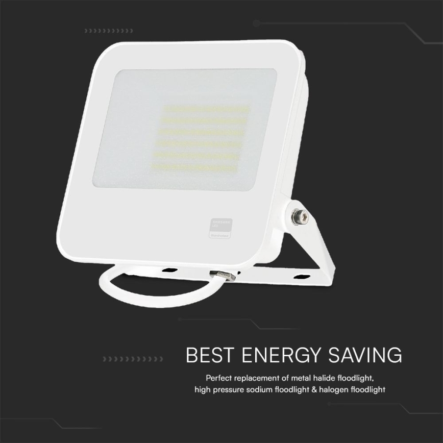 Proyector LED SAMSUNG CHIP LED/50W/230V 6500K IP65 blanco