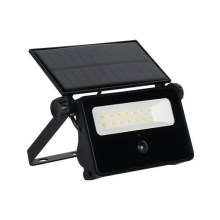 Proyector solar LED con sensor LED/30W/5,5V IP65
